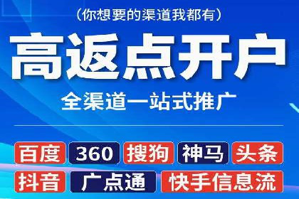 竞价托管服务对比：不同平台的优劣分析